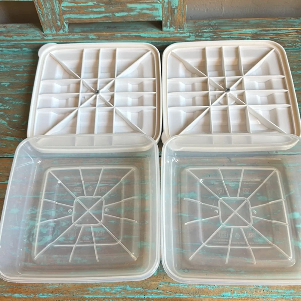FoodSaver White Square Vacuum Storage Containers (2) Green Letters #1317